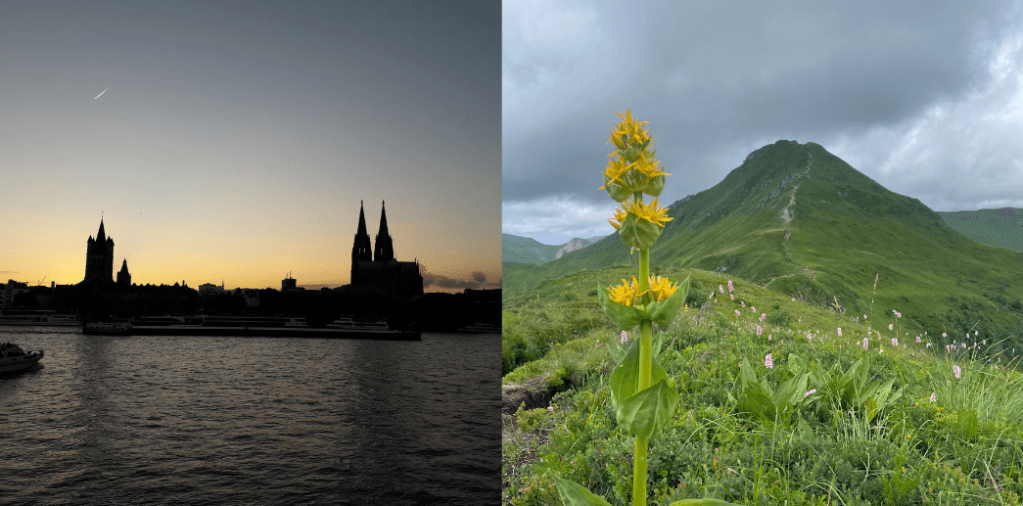 Trouver sa place entre deux cultures : Mon&nbsp;témoignage